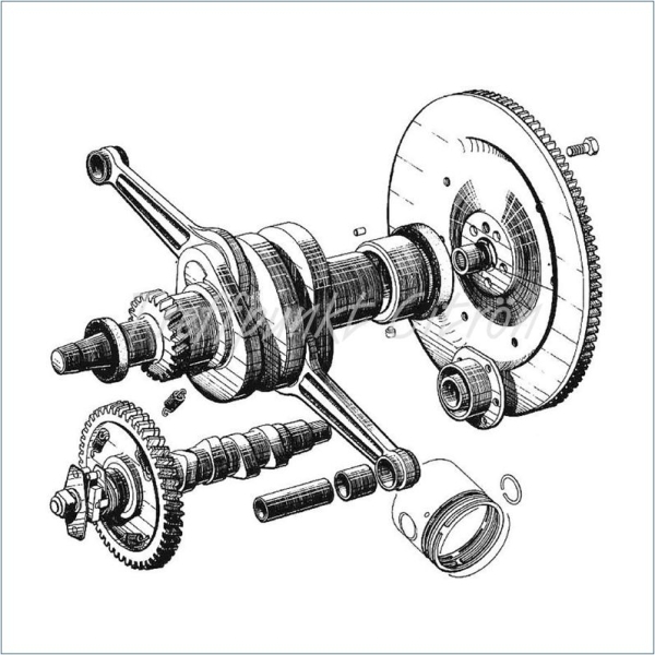 Simmerring vorne Kurbelwelle (klein/30x42x8) nach DIN 3760 NBR, mit Extradichtlippe, 2CV